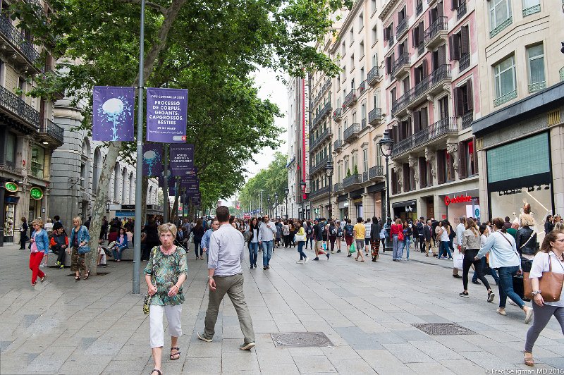 20160528_175050 D4Sedit620.jpg - Pedestrian Way, Barcelona